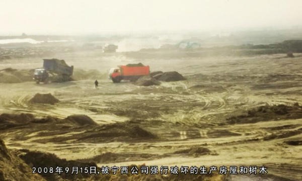 宁夏银川杨德敏：八年汗水荒滩变耕地坚守梦想斗志永不移