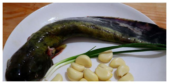 教你美味解馋的大蒜焖鲇鱼,滑嫩可口超好吃