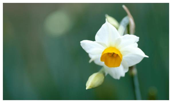 8月1日起致富,贵人多财运旺,3生肖财运逆天,发大财休闲区蓝鸢梦想 - Www.slyday.coM 8月1日起致富,贵人多财运旺,3生肖财运逆天,发大财休闲区蓝鸢梦想 - Www.slyday.coM