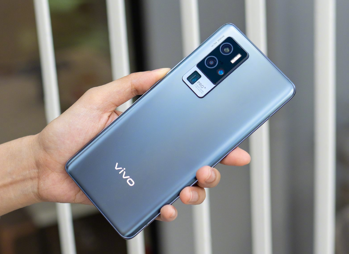 vivo x50 pro 样张解析:"大底"加持,不负专业影像旗舰之名