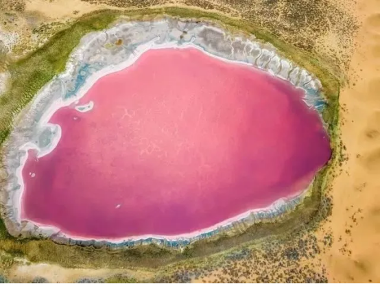 沙漠中藏着一块“红宝石”,为什么湖泊会有粉红色的?休闲区蓝鸢梦想 - Www.slyday.coM 沙漠中藏着一块“红宝石”,为什么湖泊会有粉红色的?休闲区蓝鸢梦想 - Www.slyday.coM