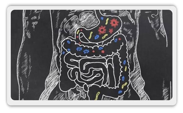 便便打败“超级细菌”！粪菌移植治疗艰难梭菌，完胜抗生素休闲区蓝鸢梦想 - Www.slyday.coM