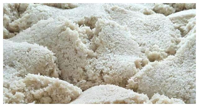 固态酒口感好,那为何大米不采用固态法发酵呢?—真全粮胡星杰