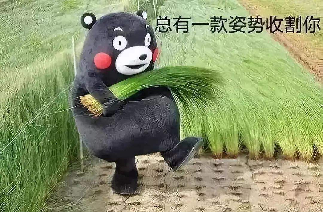 天上不会掉馅饼,防荐股骗局"新韭菜"还须擦亮眼睛