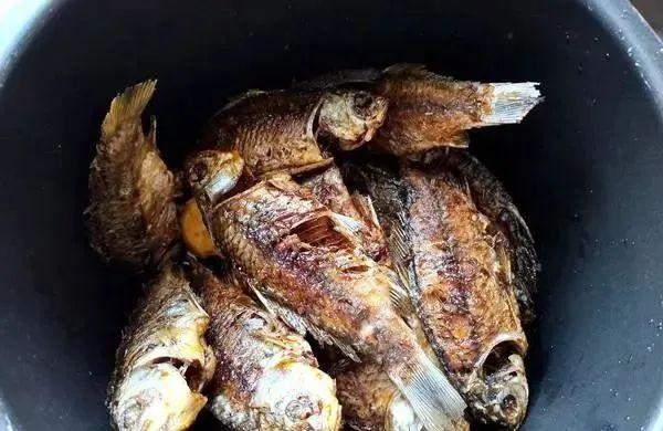 鱼刺卡在喉咙里,别再喝醋吞米饭了!教你一招让鱼刺自己跑出来!休闲区蓝鸢梦想 - Www.slyday.coM 鱼刺卡在喉咙里,别再喝醋吞米饭了!教你一招让鱼刺自己跑出来!休闲区蓝鸢梦想 - Www.slyday.coM