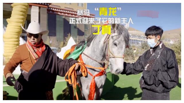 殷世航拍骑马大片没马高女友挽尊称是成年马但成年马仅150