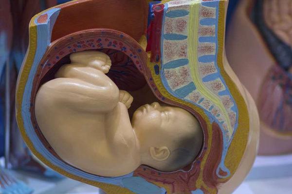 医生告诉你答案|会阴|顺产|胎儿_新浪新闻