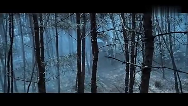 生死追杀,全程生猛彪悍拳拳到肉刀刀见血,绝对不容错过