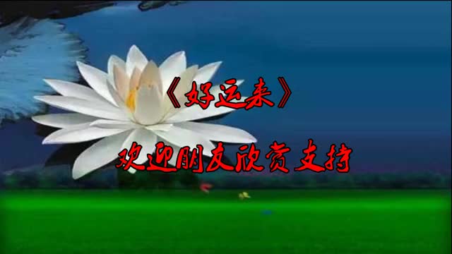 2021新舞《好运来》背面示示更好看