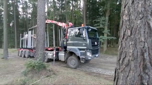 视频：塔特拉卡车和吊机，司机操作装载木材