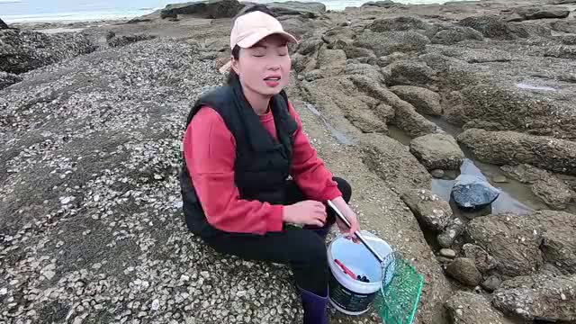 吴嫂顶着大风出门赶海遇一家三口齐聚没想到后面还有更刺激的