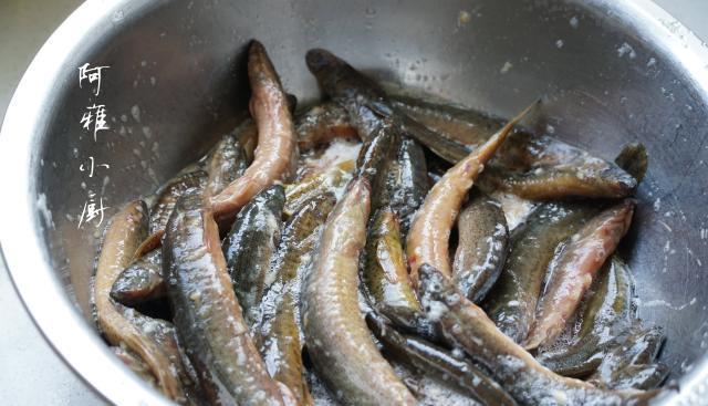 三伏天男士多喝这道汤,有"水中人参"之称,汤鲜肉嫩好吃不贵|泥鳅|豆浆