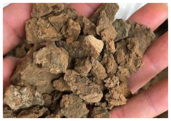 农村榨油剩下的油渣为啥能抵榨油钱有啥用处