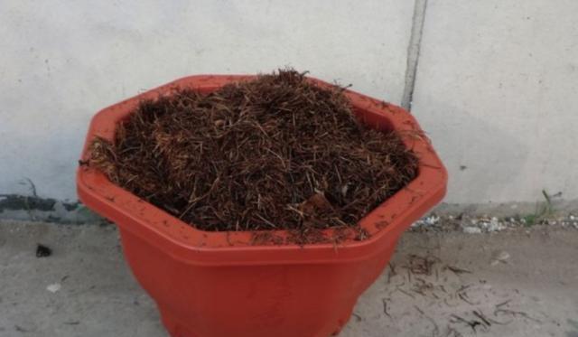 制作养花培养土，加入4种材料，不结板啊