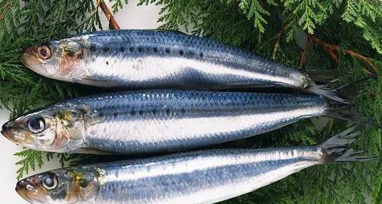 鱼刺卡在喉咙里,别再喝醋吞米饭了!教你一招让鱼刺自己跑出来!休闲区蓝鸢梦想 - Www.slyday.coM 鱼刺卡在喉咙里,别再喝醋吞米饭了!教你一招让鱼刺自己跑出来!休闲区蓝鸢梦想 - Www.slyday.coM