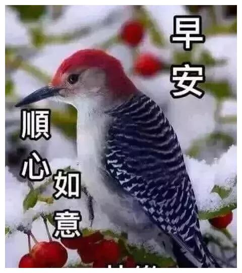 祝你在新的一周事事顺利 万事如意 早安 财经头条