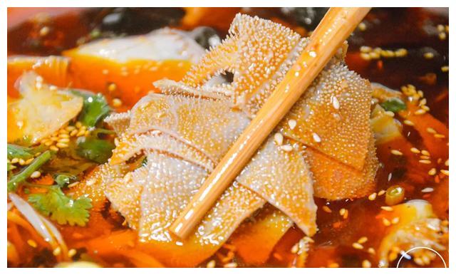 油淋毛肚:这道菜端上桌就很有食欲,精选牛百叶,和一般的毛肚看起来就