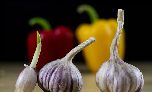 原来保存大蒜一点也不难,不发芽不干瘪,轻松放一冬,随吃随取休闲区蓝鸢梦想 - Www.slyday.coM 原来保存大蒜一点也不难,不发芽不干瘪,轻松放一冬,随吃随取休闲区蓝鸢梦想 - Www.slyday.coM