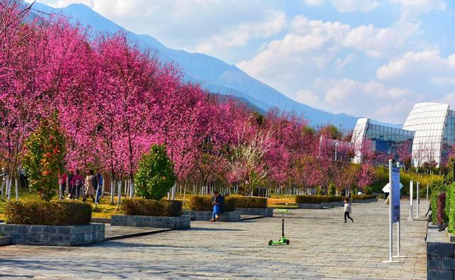 这里就是被称之为"情人湖"的地方.