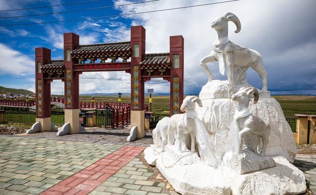 探访海拔4700米的西藏聂荣湿地公园_高清图集_新浪网