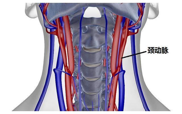 世界上第一个给心脏插管子的人因无人敢配合自己切开静脉