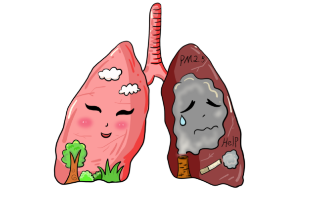 肺部的清洁器找到并非秋梨膏常吃除去肺污肺粉嫩又暄软