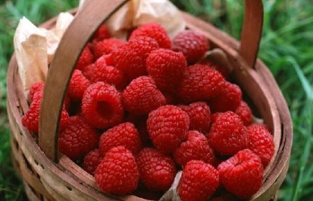 东北最馋人的5种水果南方只能狂吞口水图1堪称撩妹神器