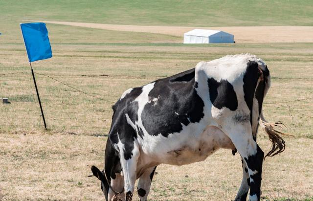 西部大城市gdp_又一超级经济圈诞生,2大万亿城市宣布“联手”,GDP仅次于珠三角