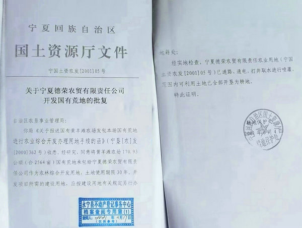 宁夏银川杨德敏：八年汗水荒滩变耕地坚守梦想斗志永不移