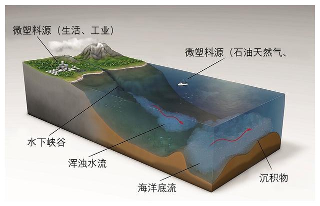 研究发现,海洋表面漂浮垃圾只占1%,其余99%都进入了海底沉积物