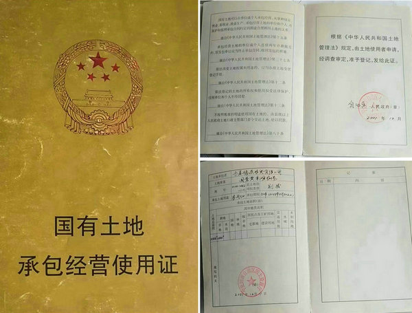 宁夏银川杨德敏：八年汗水荒滩变耕地坚守梦想斗志永不移