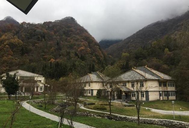 广元除了剑门关还有青川县值得前往|博物馆|唐家河|青川县_新浪新闻