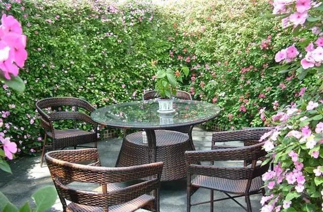 我想有一所房子,庭前栽花,屋后种树|染眉|花屋|落英_新浪新闻