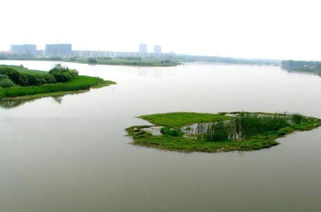 别样的芜湖凤鸣湖大桥