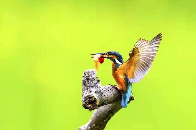 太低调!山东这个宝藏小城自带质感,不输洞庭,欧阳修都被他迷倒休闲区蓝鸢梦想 - Www.slyday.coM 太低调!山东这个宝藏小城自带质感,不输洞庭,欧阳修都被他迷倒休闲区蓝鸢梦想 - Www.slyday.coM