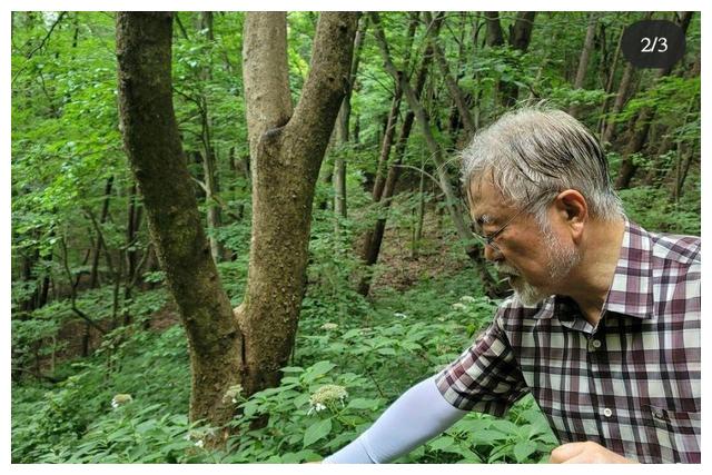 文在寅卸任两个月老了20岁，白发苍苍！休闲区蓝鸢梦想 - Www.slyday.coM