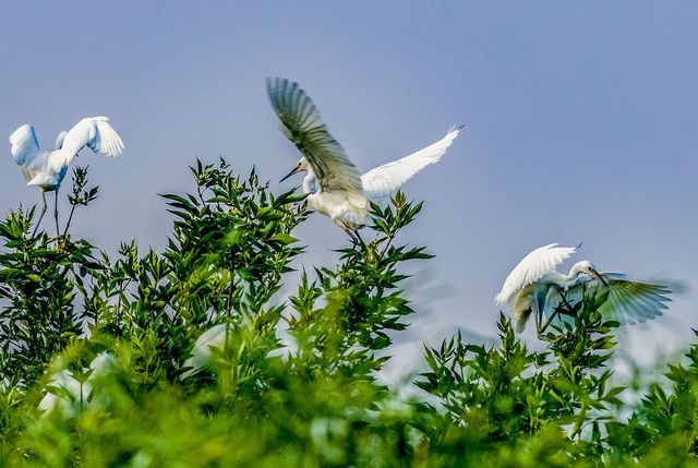 太低调!山东这个宝藏小城自带质感,不输洞庭,欧阳修都被他迷倒休闲区蓝鸢梦想 - Www.slyday.coM 太低调!山东这个宝藏小城自带质感,不输洞庭,欧阳修都被他迷倒休闲区蓝鸢梦想 - Www.slyday.coM