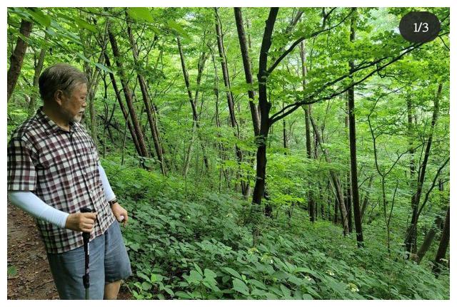 文在寅卸任两个月老了20岁，白发苍苍！休闲区蓝鸢梦想 - Www.slyday.coM