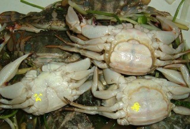 花盖蟹与赤甲红的区别,怎么挑肥瘦,和吃的季节