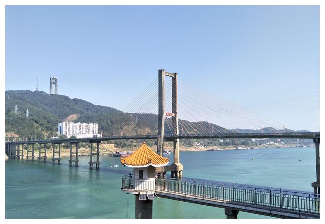 神奇梧州西江又现第三种鸳鸯江惊奇秀美无比大家快来围观