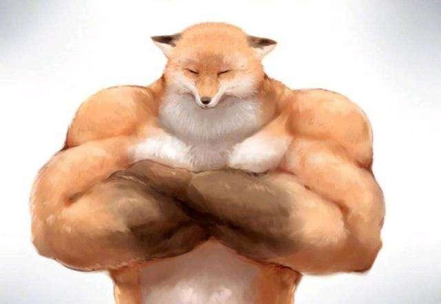 肌肉动物联盟再添一员猛将,肌理清晰,是强者的背影没错了
