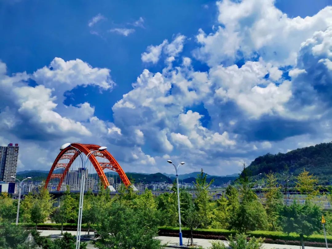 苍溪蓝太治愈了