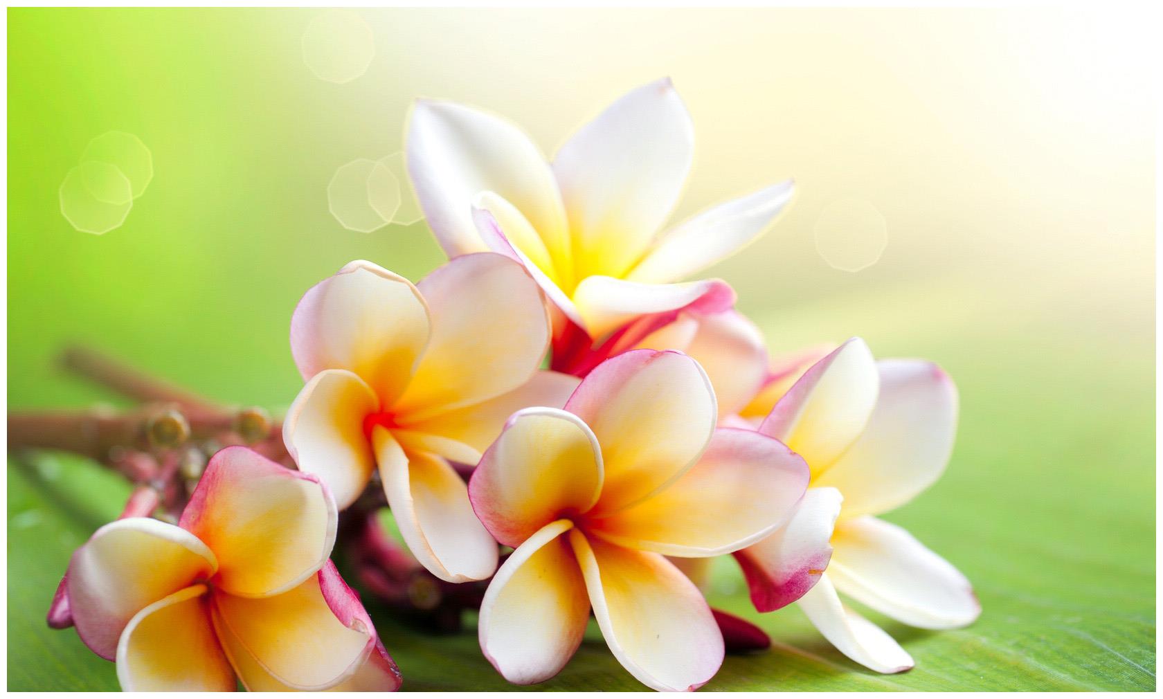 2021年生肖属牛迎来一波大好运财源滚滚来钱多到财神也羡慕