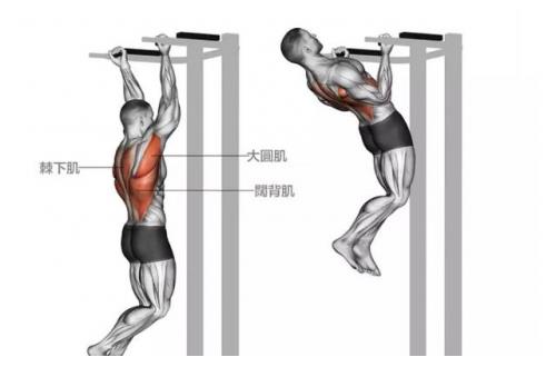 引体向上怎么练（引体向上怎么练在家）