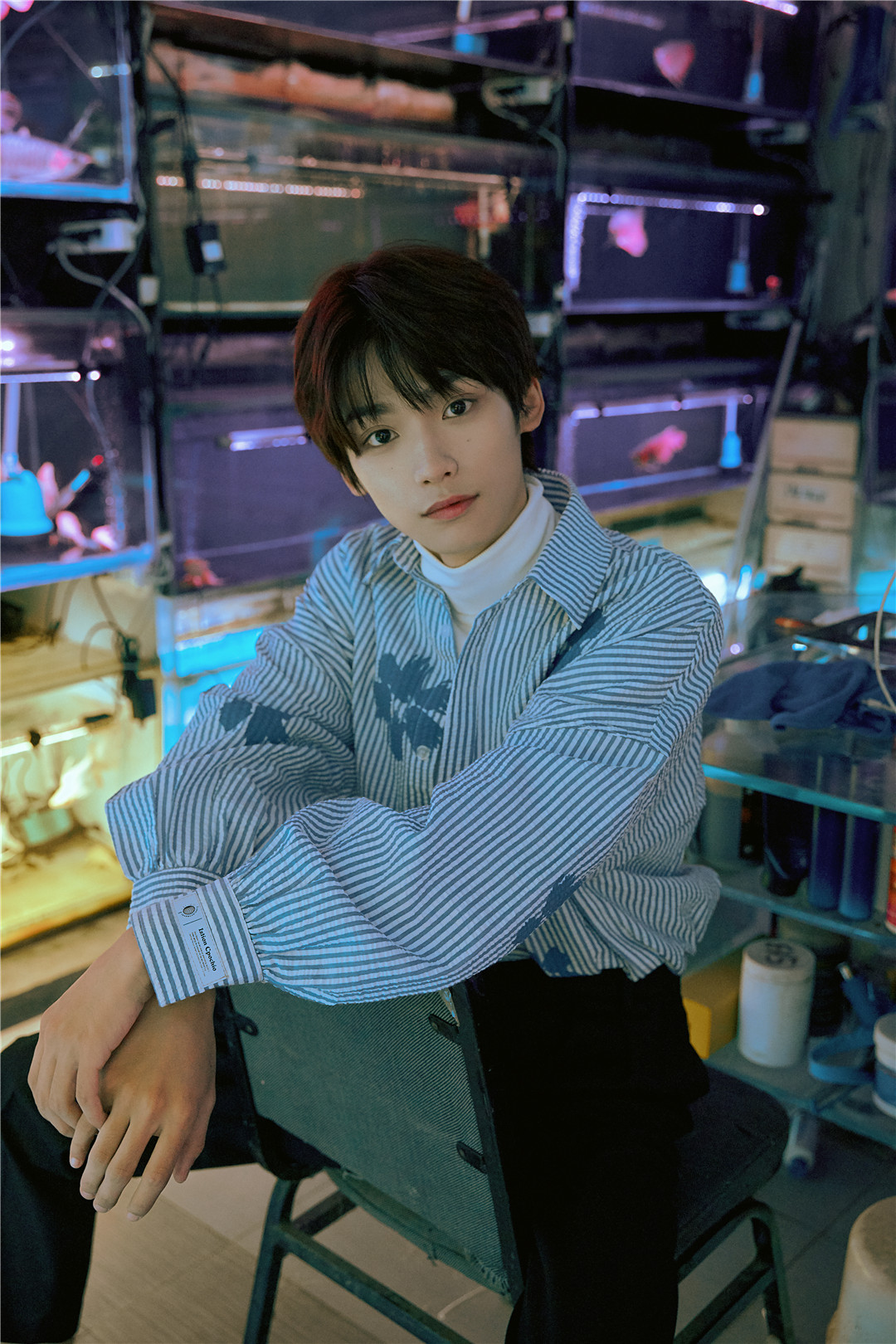 花开半夏梓渝写真曝光与鱼有关的一天