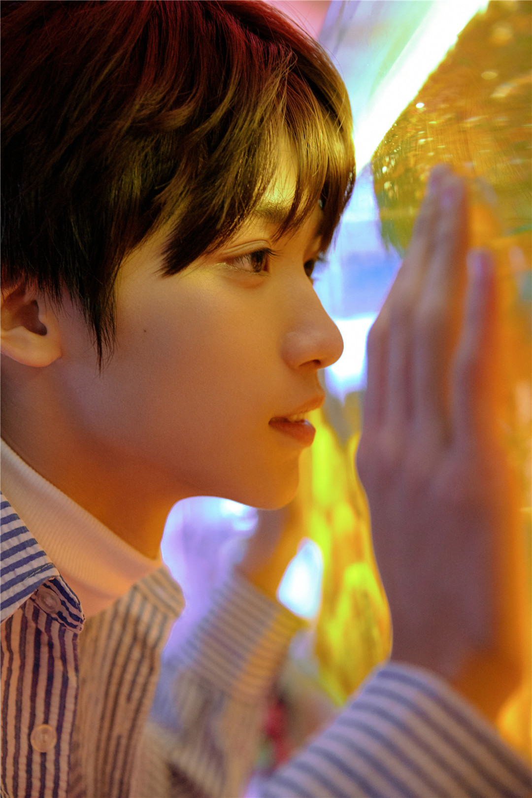 花开半夏梓渝写真曝光与鱼有关的一天