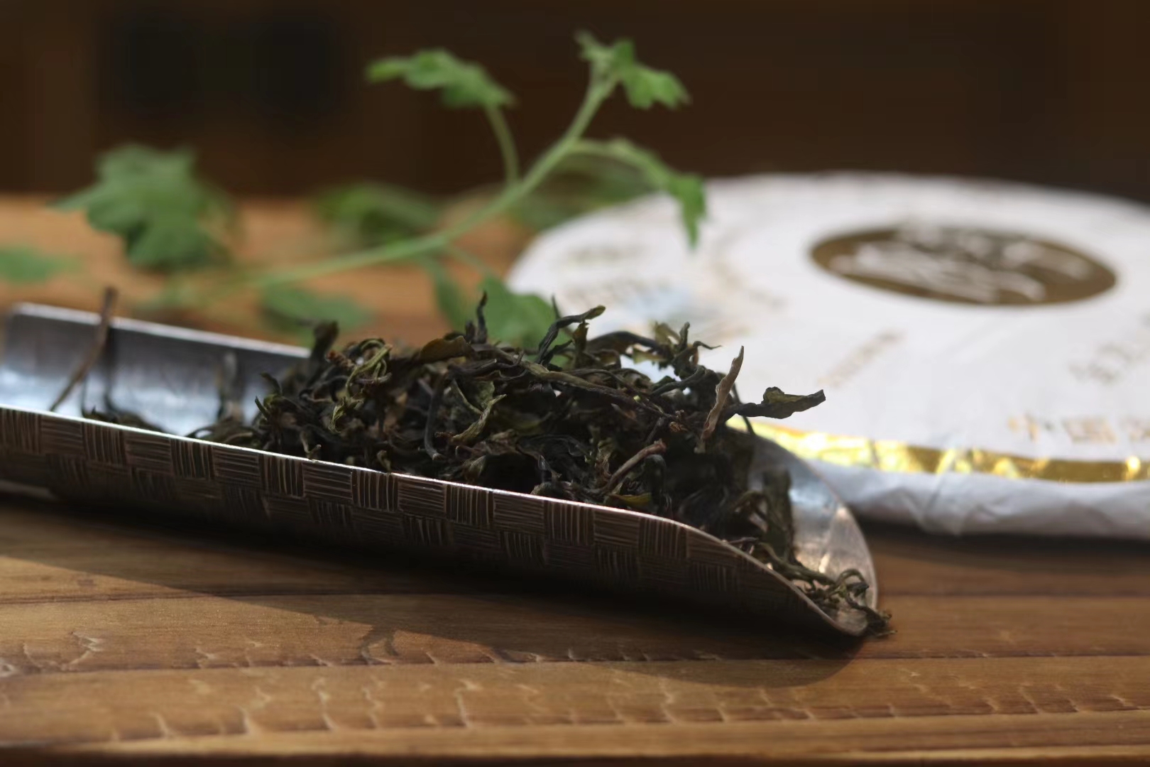 深圳现制茶黑马修享茶或将成为茶行业新贵