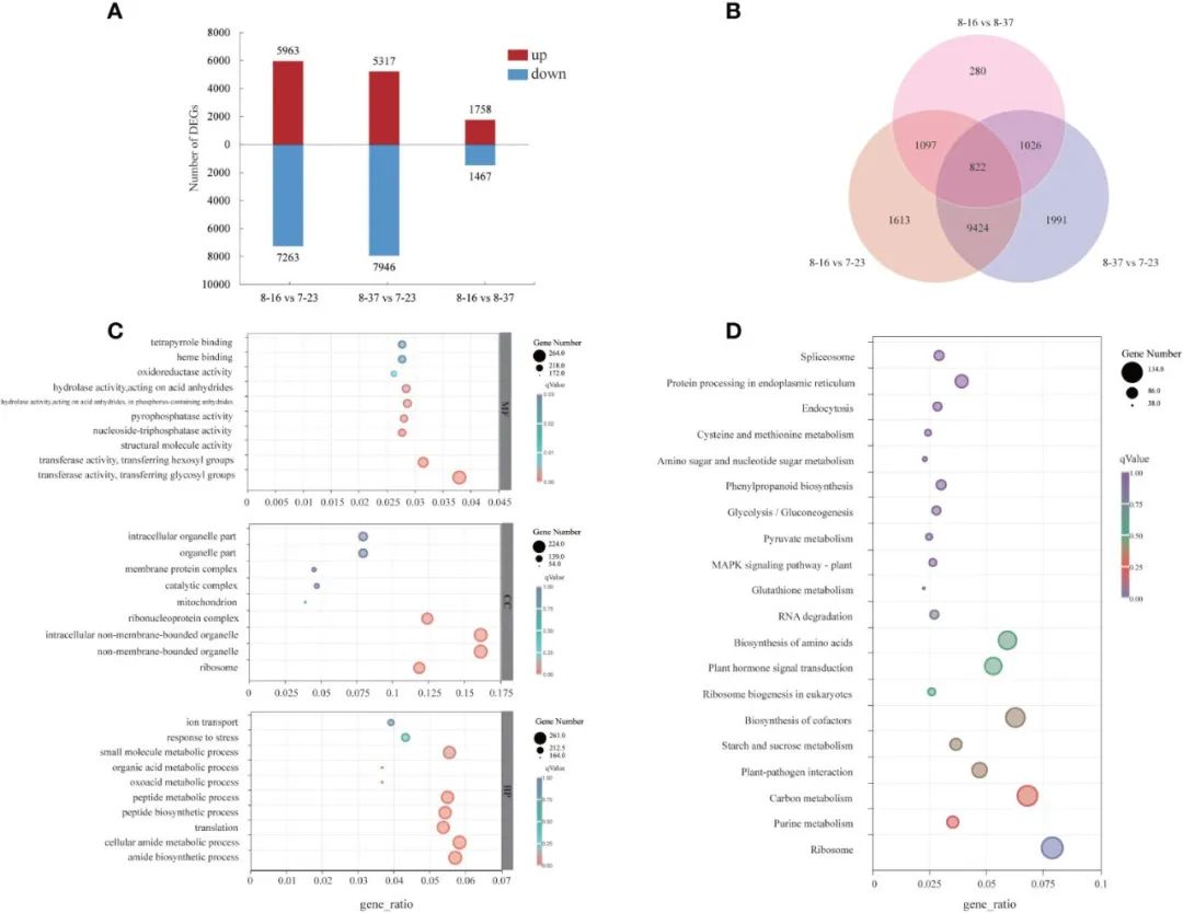 mva和pls屏哪个好