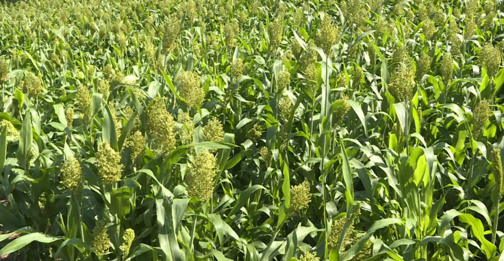 破茧成蝶后怎样绽放？南充嘉陵的龙蟠这个动作背后包裹着啥名堂…休闲区蓝鸢梦想 - Www.slyday.coM