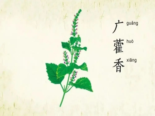 藿香正气水有哪些作用?成都普济中医肿瘤医院杨成平来解答休闲区蓝鸢梦想 - Www.slyday.coM